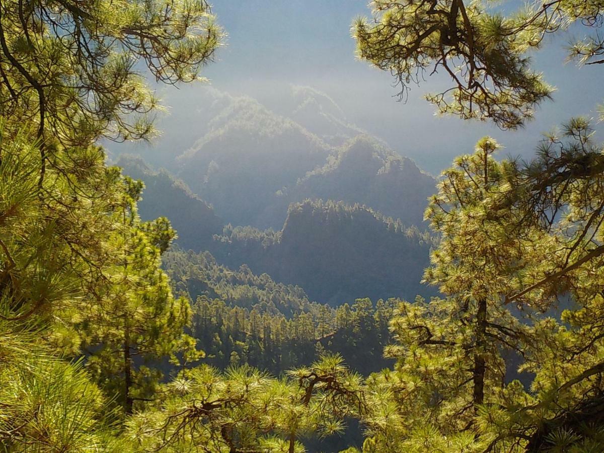 El Puente 31 Lägenhet Santa Cruz de la Palma  Exteriör bild